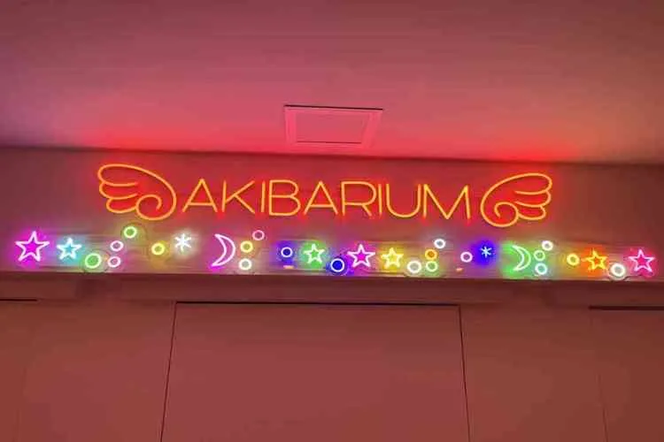AKIBARIUM - 秋葉原のコンカフェ