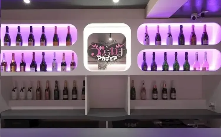 ゔぃらねすアカデミア - 秋葉原のコンカフェ