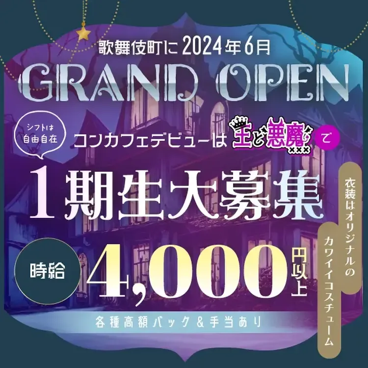  - 新宿/歌舞伎町の