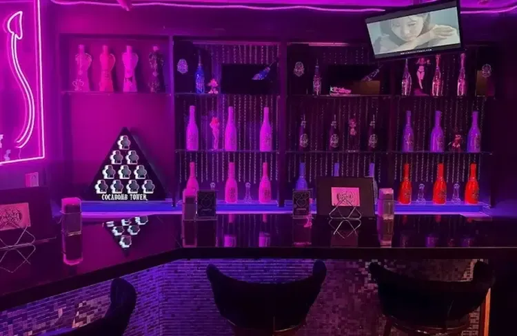 succubus&kiss  - 新橋のコンカフェ