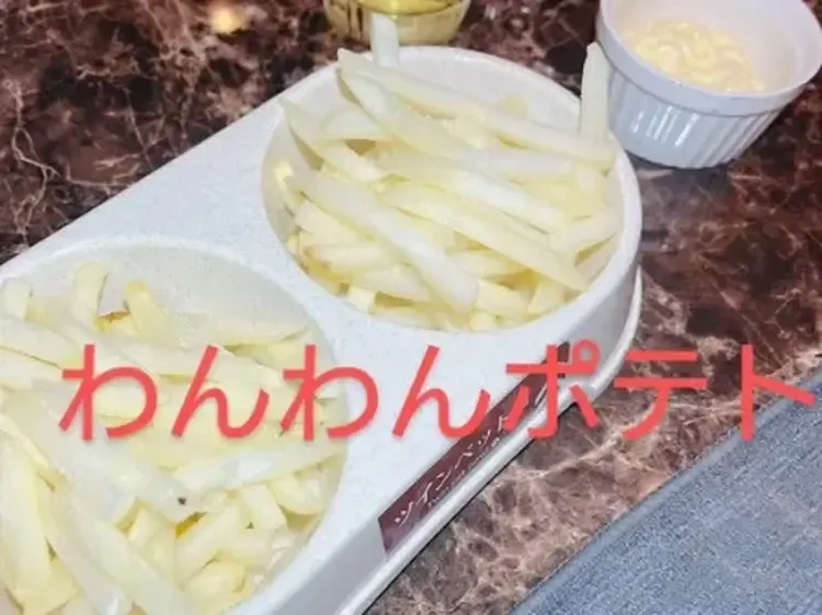 わんわんカフェバー - 錦のコンカフェ